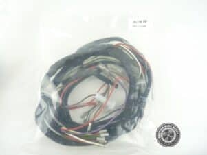 LU54959629