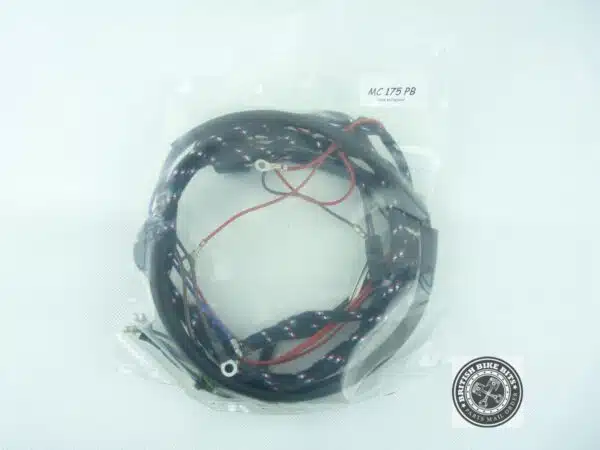 LU54935481